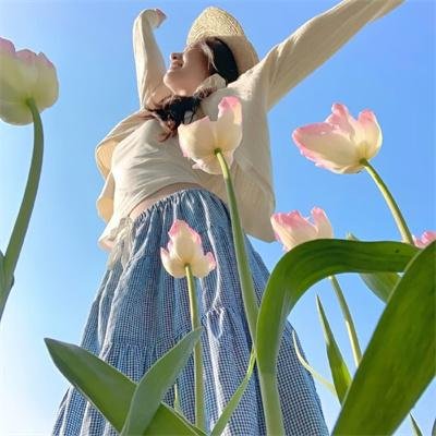 大白鲨4：复仇
